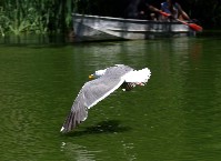 Click to see IMG_1904.JPG