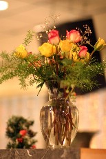 Click to see IMG_0613.JPG