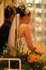 Click to see IMG_0617.JPG