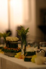 Click to see IMG_0684.JPG
