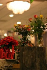 Click to see IMG_0869.JPG