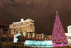 Click to see IMG_2535.JPG