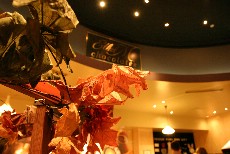 Click to see IMG_2806.JPG