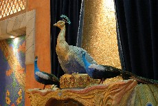 Click to see IMG_2857.JPG