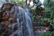 Click to see IMG_3389.JPG