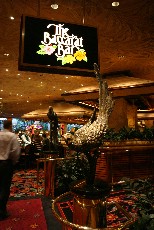 Click to see IMG_3393.JPG