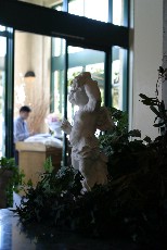 Click to see IMG_5027.JPG