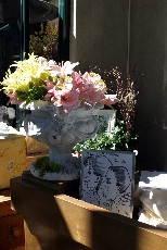 Click to see IMG_5273.JPG